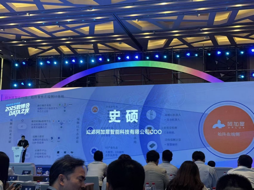 2025數(shù)博會(huì)·DATA之夜：聚焦具身智能，共探數(shù)據(jù)智能新未來1247.jpg